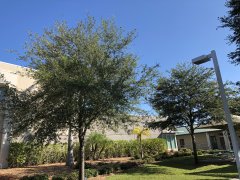 看完《哪吒》心动？那你要了解下这些美国高中