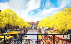 欧洲留学 | 世界TOP 40名校——荷兰阿姆斯特丹大学