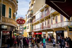 澳门科技大学2022年本科热门专业有哪些