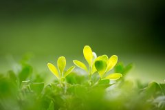8月1号起，可申请香港珠海学院2024春季硕士！