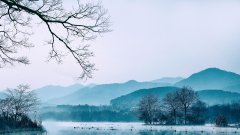 国际高中课程怎么选？