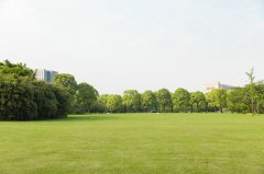 出国留学艺术专业：精心筹备你的作品集，开启创意之旅