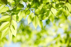 美国留学申请，怎样平衡学业和申请准备时间？