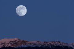 留学预算告急？马来西亚把“名校平替”玩明白了！