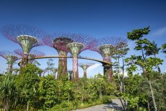 雅思托福要多少分？新加坡留学语言要求详解