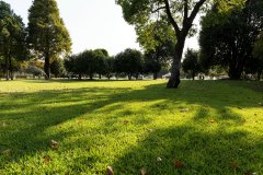 马来西亚留学性价比有多高？学费+生活费一年要花多少钱？