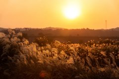 留学国家大PK：英美澳加，谁才是你的“天选之国”？