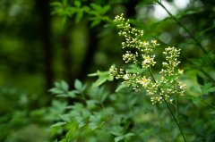 留学文书到底咋写？招生官最想看的3个核心点