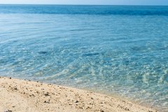 商科留学已死?AI时代，这些专业才是未来十年‘铁饭碗’!