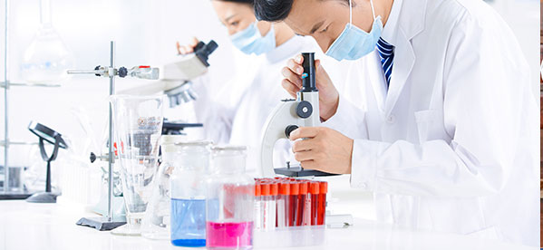 科技专业能办理澳门升学吗